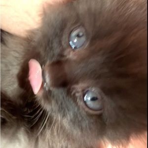 Meet your Posher, Hailey